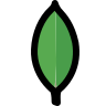 MongoDB Logo